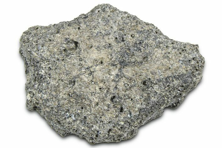 Fossil Glyptodont (Glyptotherium) Bony Armor Osteoderm - Florida #362358